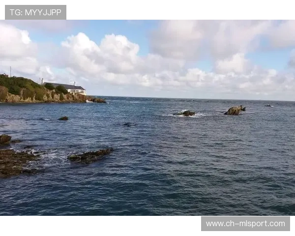 海湾者青年军成长迅速，未来可期，海湾1954营地