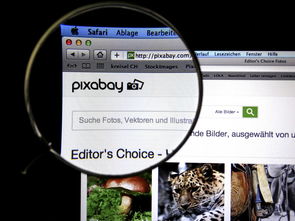 米兰app-体育新闻中心发布体育短视频传播效果白皮书，体育短视频成为平台和用户的新宠
