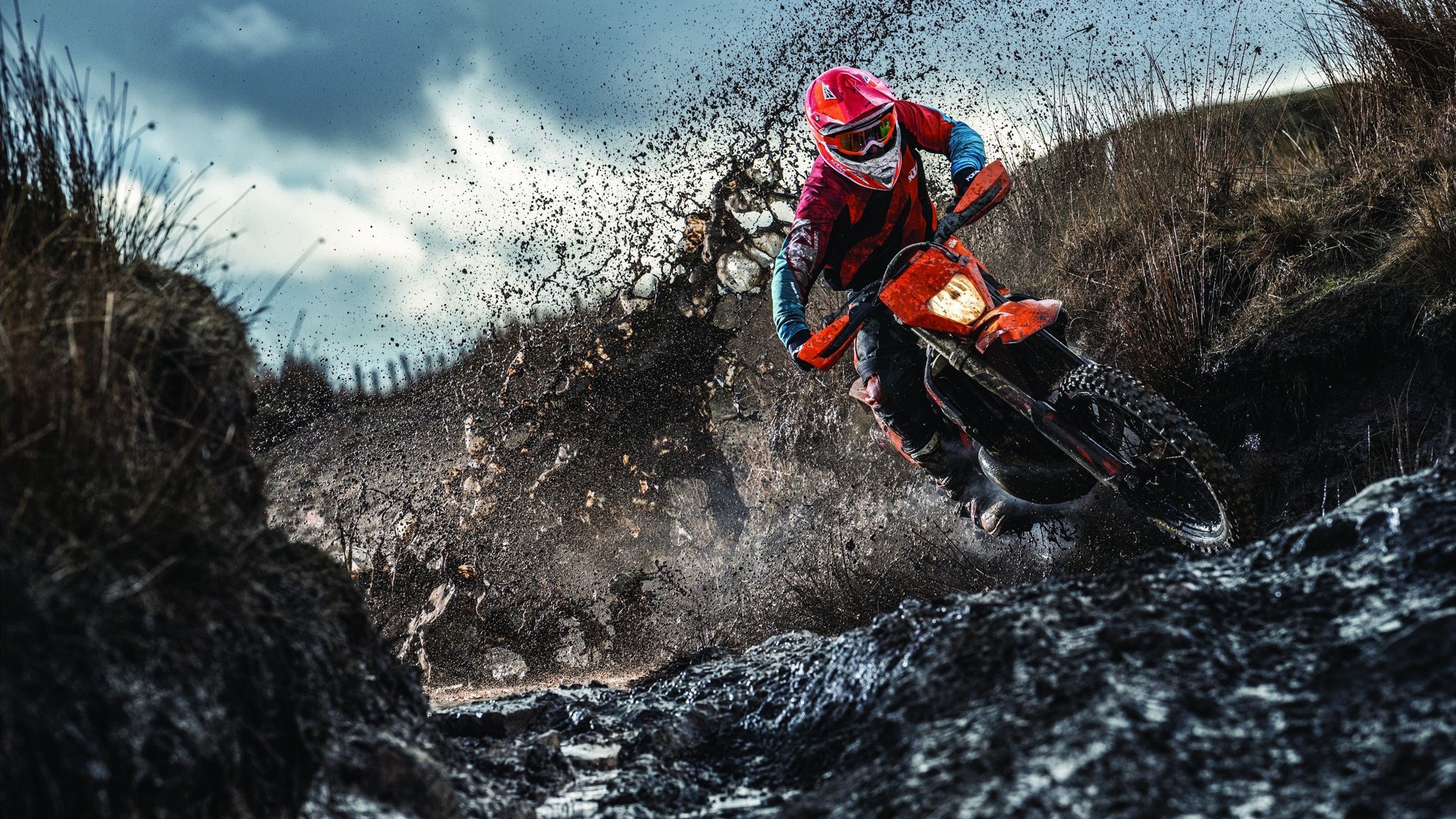 LOL官宣S16北美落地玩家狂刷：今年不看等明年哭，英雄联盟s16